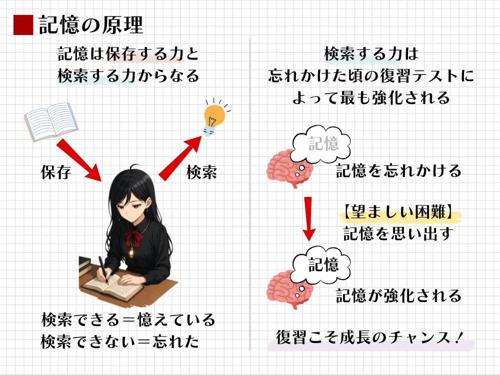 脳の記憶の原理を図解。記憶は「保存」と「検索」の力からなり、忘れかけることは記憶強化のチャンスであること、そして忘れかけた頃の復習テストによって最も検索する力が強化されるメカニズムを解説している。